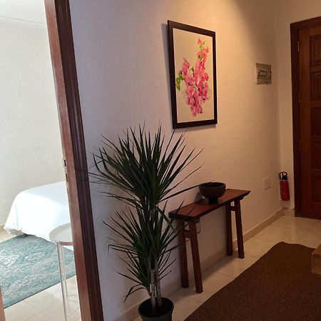 Cozy Apartment Santa Cruz de Tenerife Ngoại thất bức ảnh