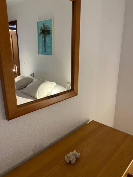 Cozy Apartment Santa Cruz de Tenerife Ngoại thất bức ảnh